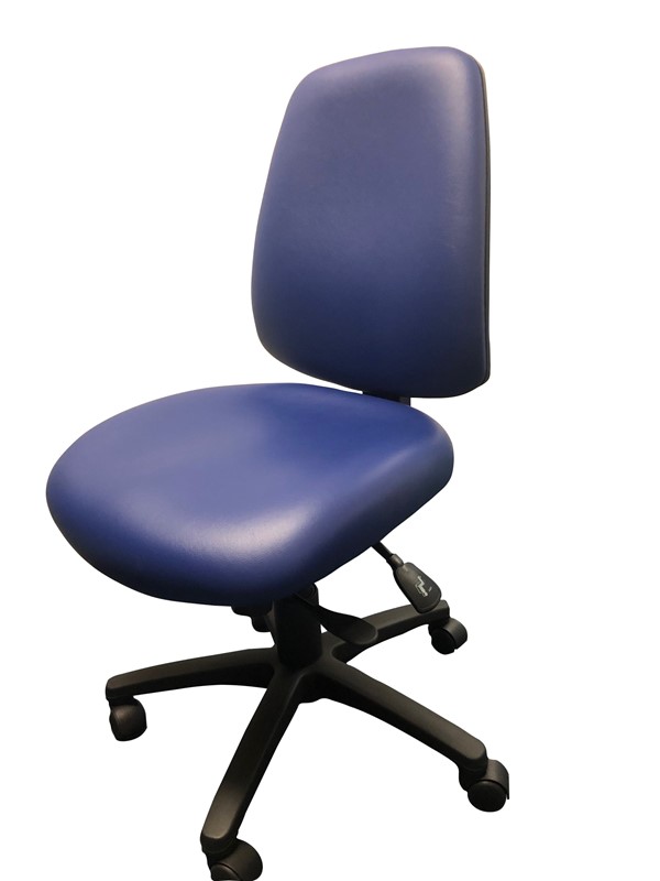 Rialto Healthcare High Back Chair